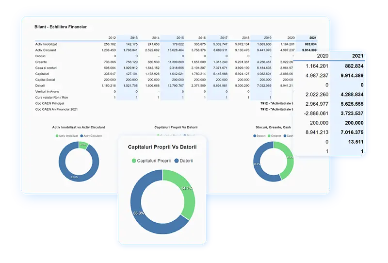 Rezultate Financiare Firme