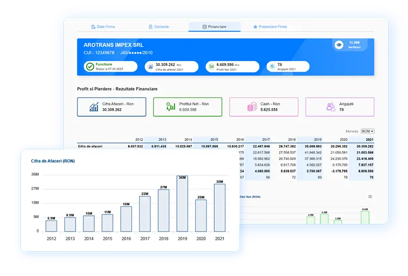 Rezultate Financiare Firme