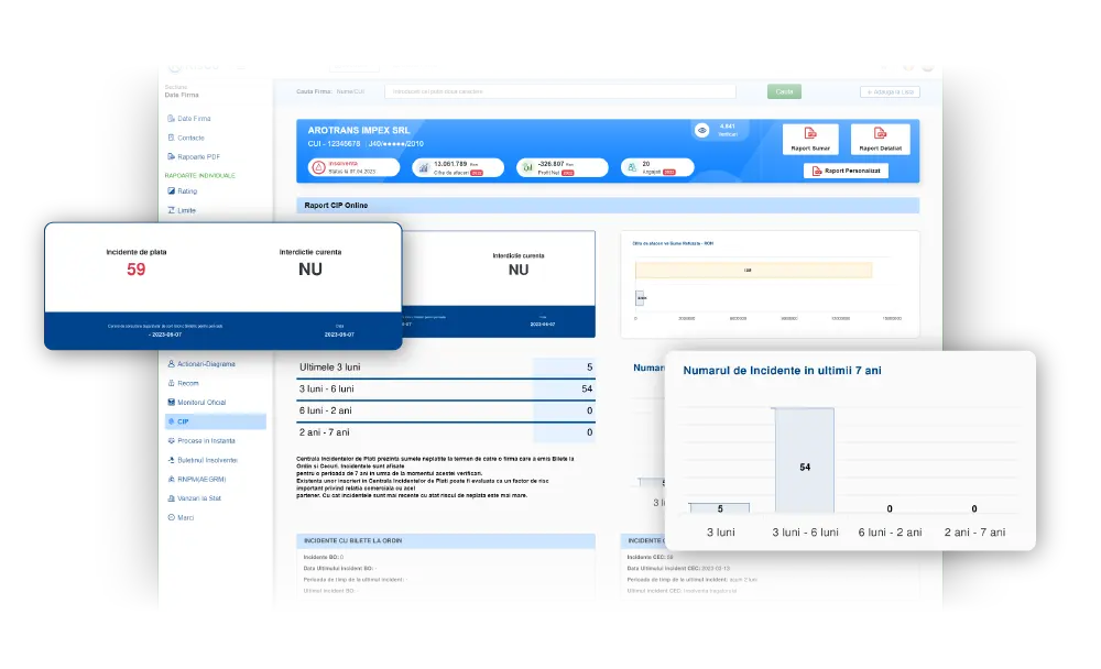 Rapoarte CIP Online