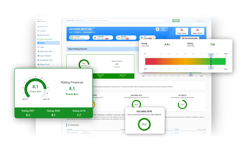 Rapoarte Rating Financiare