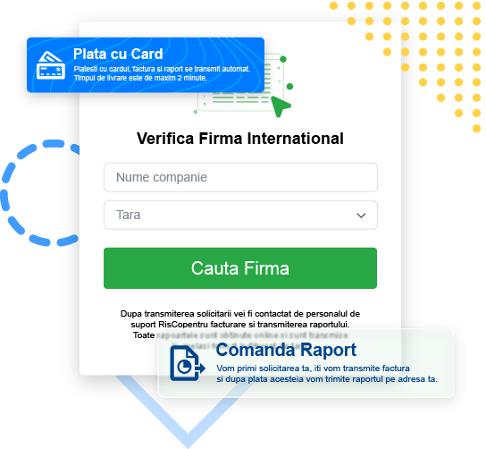 Detalii Rapoarte Firme International